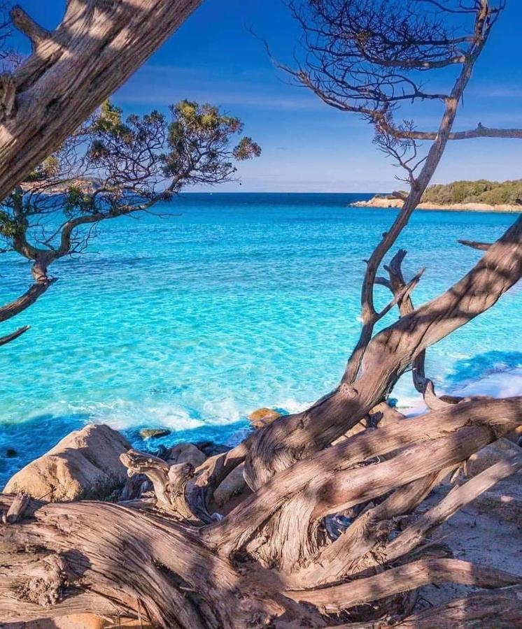 Suite Les Couchants Porticcio  Luaran gambar